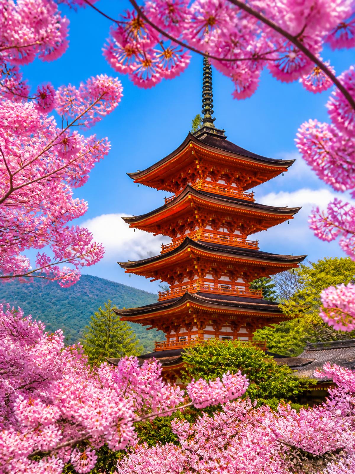 Japan