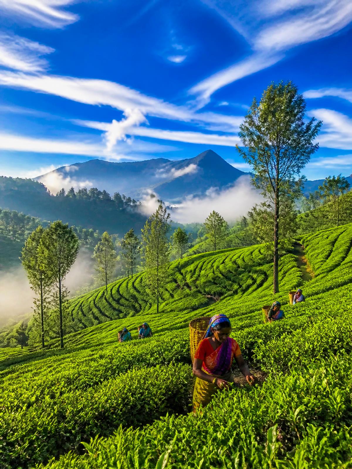 Sri Lanka